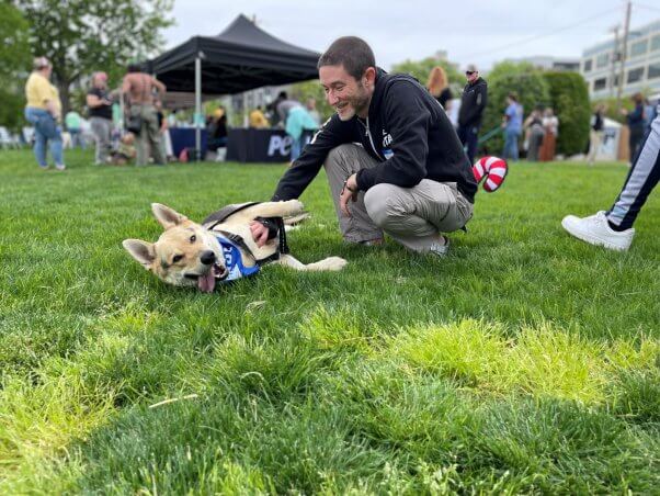 A staffer pets a tan dog at Poochella