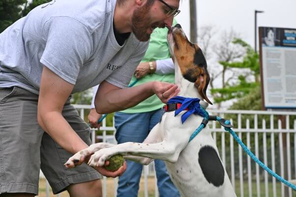 A white dog licks a man's nose