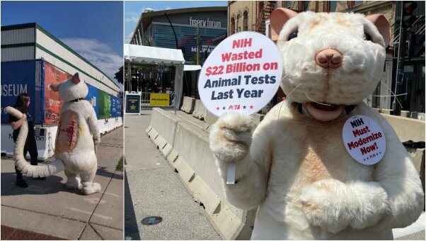 PETA Mouse Mascot attends 2024 RNC in Milwaukee