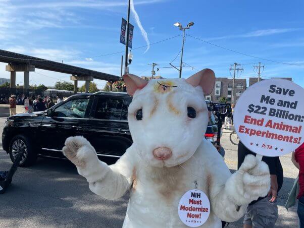 PETA Mouse outside 2024 DNC