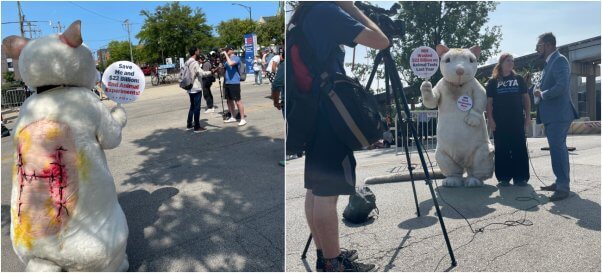 PETA at 2024 DNC day 3