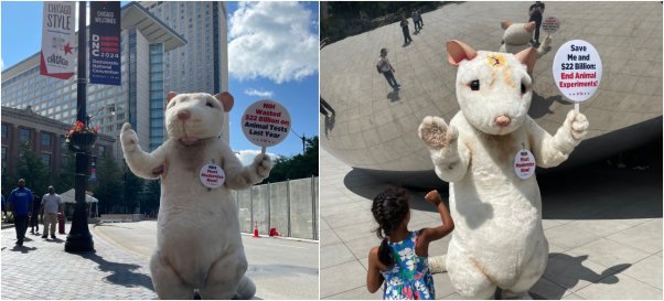 PETA mascot in chicago for 2024 democratic national convention