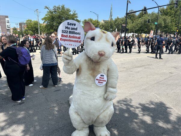 PETA on Day 3 of the 2024 Democratic National Convention