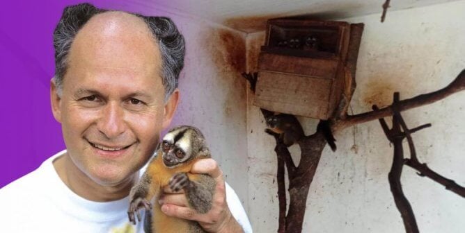Patarroyo monkey experimenter holding a squirrel monkey next to stained and dilapidated housing