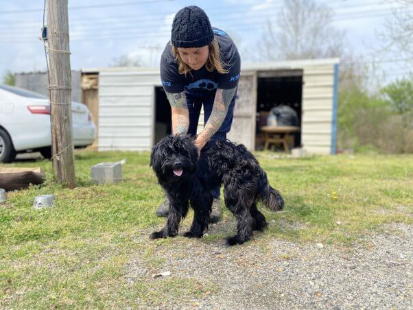 A fieldworker holding a shaggy black dog