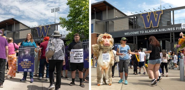 Protesters Expose University’s Den of Primate Despair as Commencement Crowds Gather