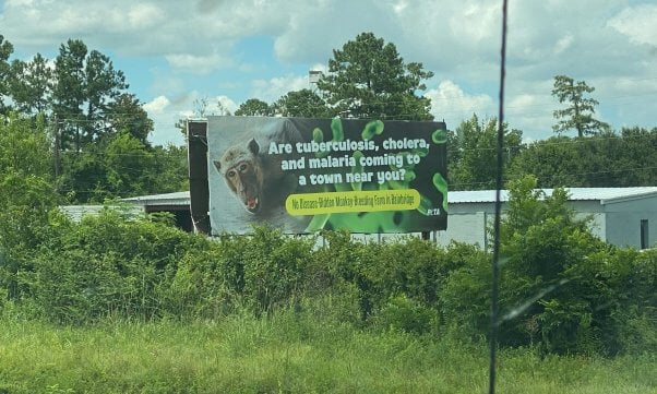 Photo of billboard with text reading "Are Tuberculosis, cholera, and malaria coming to a town near you? No Disease-Ridden Monkey Breeding Farm in Bainbridge"