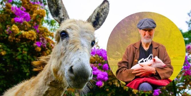 Donkey and James Cromwell