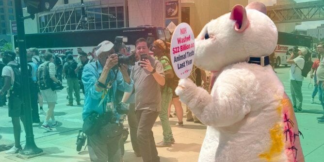 Mouse protests National Institutes of Health at RNC