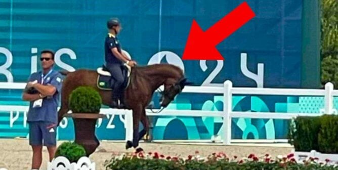 Olympic competition pulling horse's head at unnatural angle