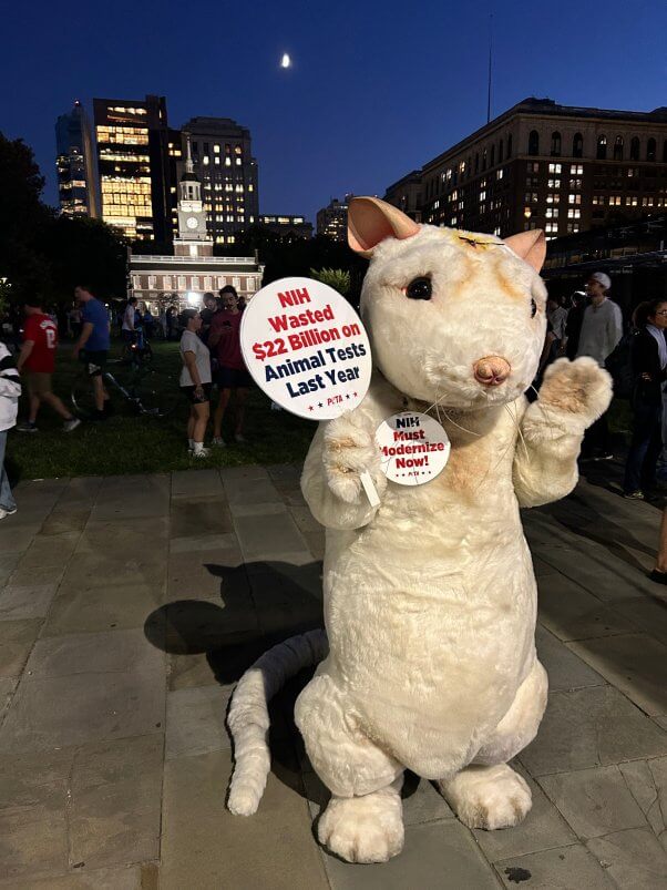 peta mouse mascot in philadelphia for 2024 trump - harris presidential debate