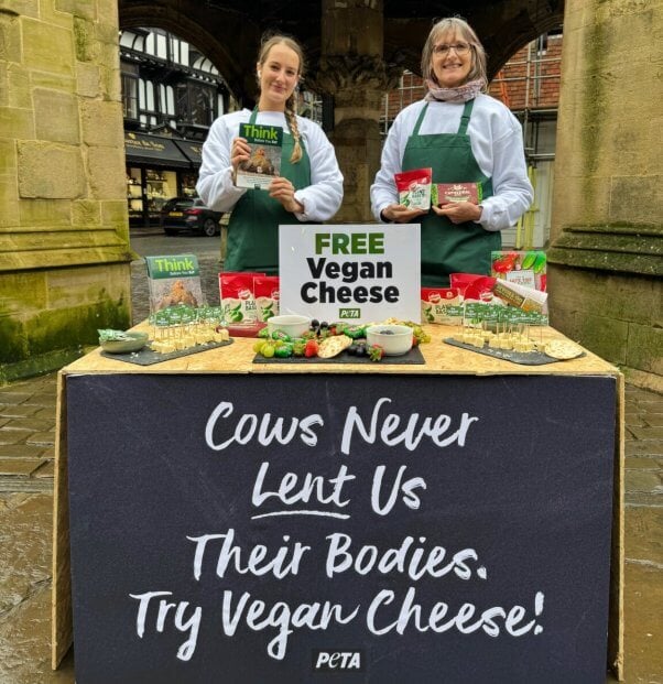 PETA UK hands out Babybel vegan cheese in England for Lent