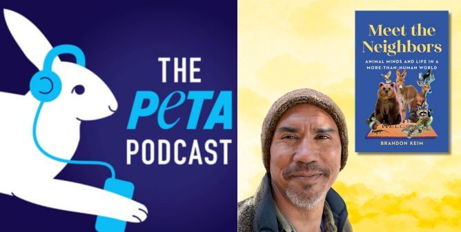 the PETA Podcast logo next to picture of Brandon Keim and his book "meet the neighbors"