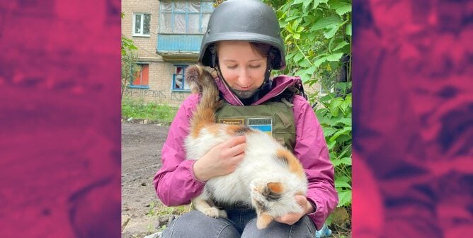 rescued cat ukriane pink sides