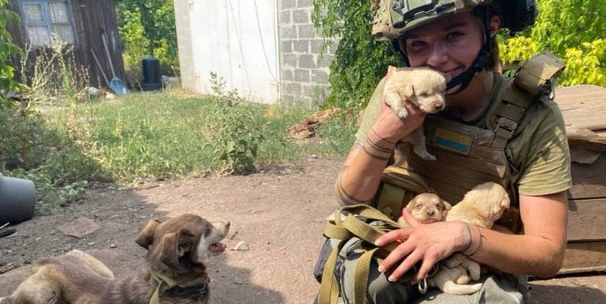 rescuer holding dogs in ukraine