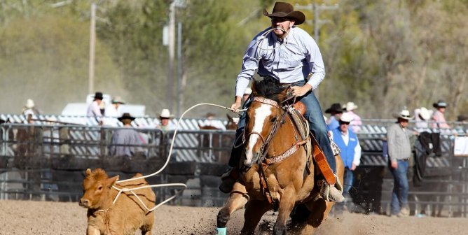 calf roping at a rodeo