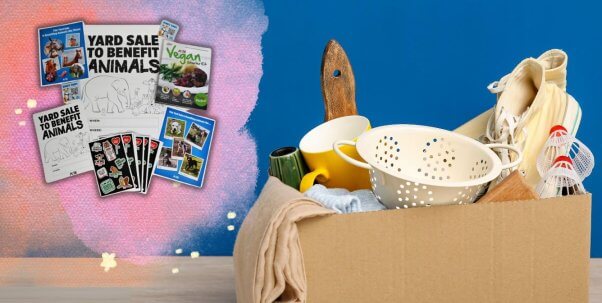 A box of items for a yard sale next to a paint splash with PETA's kit to help animals