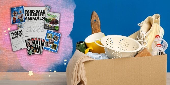 A box of items for a yard sale next to a paint splash with PETA's kit to help animals
