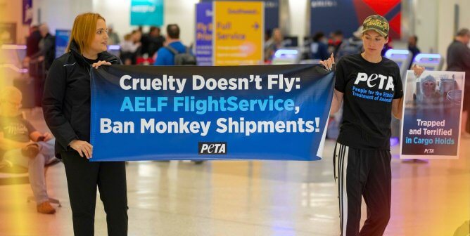 Protesters holding banner that says "Cruelty doesn't fly: AELF Flightservice, Ban Monkey Shipments"