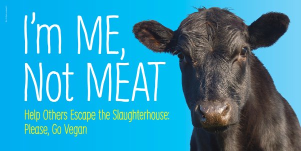 Bull next to text that says "I'm me, not meat. Help others escape the slaughterhouse: please, go vegan" on blue background