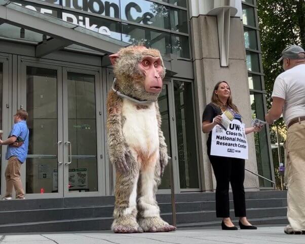 Dorothy monkey mascot stands next to a demonstrator wearing a sign