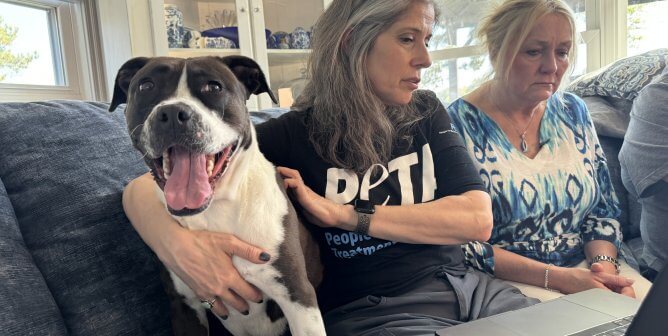 Billie sits with two people on a sofa