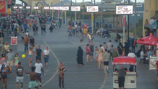 Pressure on the Pier! PETA’s blitz on the boardwalk bombards tourists with a wake-up call to eat crabs