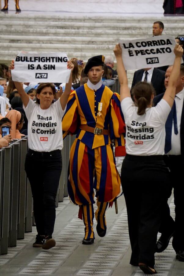 peta U.K. protesting bullfighting at the vatican to call pope francis to condemn bullfights