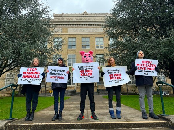 group of pig protectors at OHSU