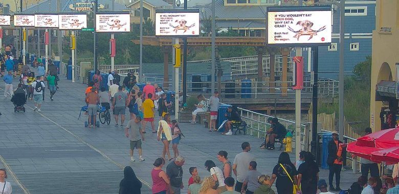 PETA’s Boardwalk Blitz Bombards Tourists With Wake-Up Call About Eating Crabs