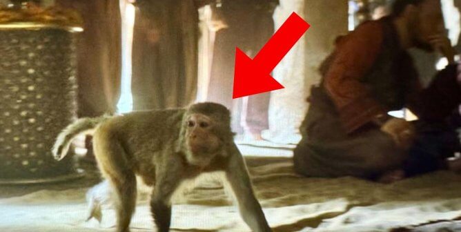 monkey in house of the dragon finale