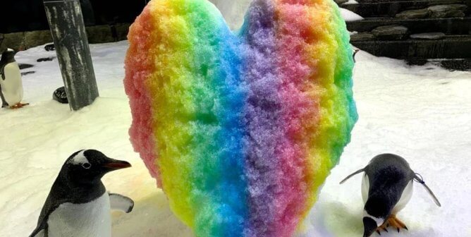 TWO PENGUINS STAND NEXT TO RAINBOW COLORED SNOW HEART