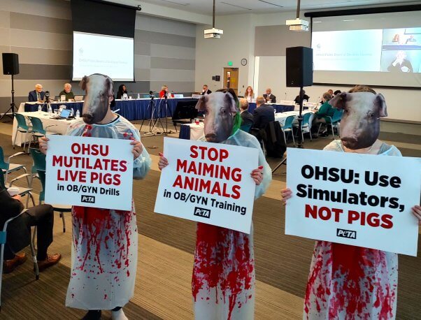 three pig masked protesters at OHSU