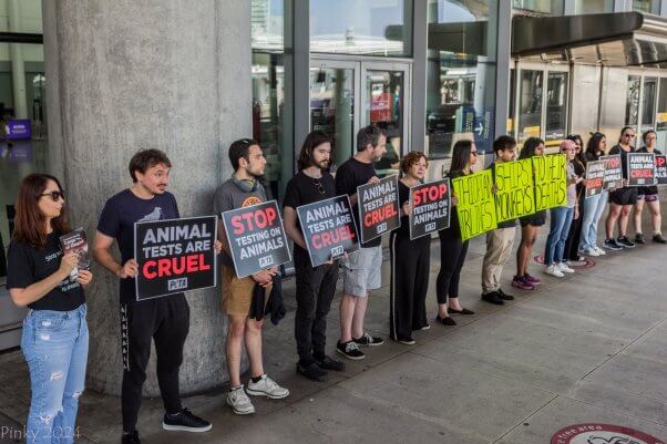 A line of demonstrators holding signs and leaflets