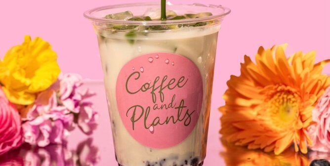 a matcha drink from vegan coffee shop coffee and plants, surrounded by flowers