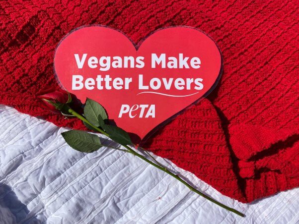 vegans make better lovers PETA poster on red blanket next to rose