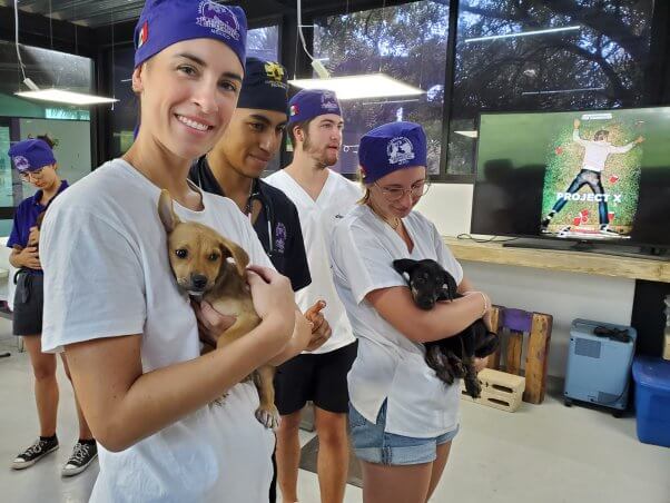 two puppies are held by staff