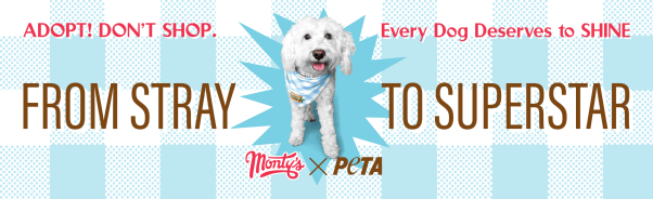 Monty's Los Angeles billboard "from stray to superstar" PETA