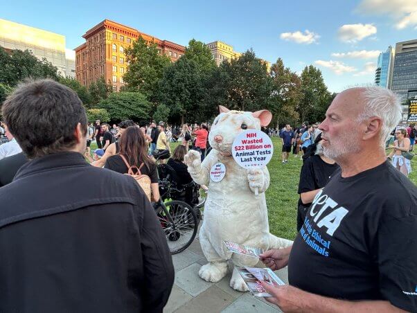 peta mouse mascot in philadelphia for Trump - Harris 2024 presidential debate