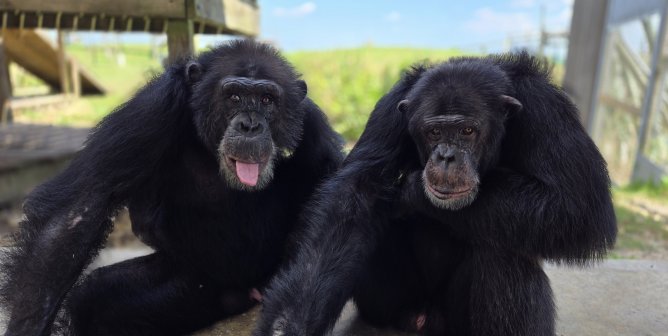 Tonka and Cayleb at sanctuary