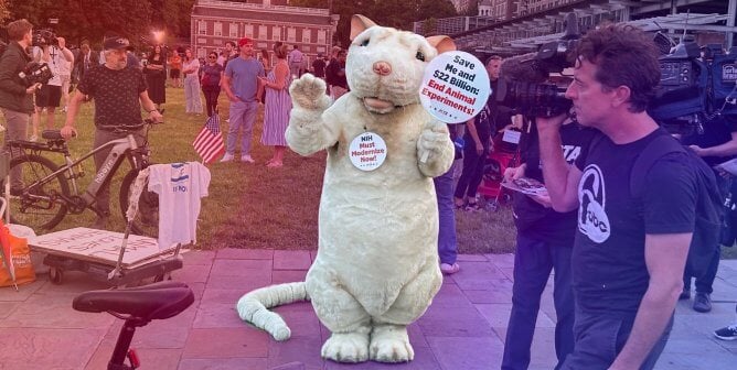 mouse at the presidential debate in Philly