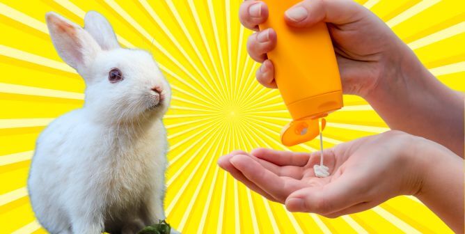 sunscreen and rabbit on yellow background