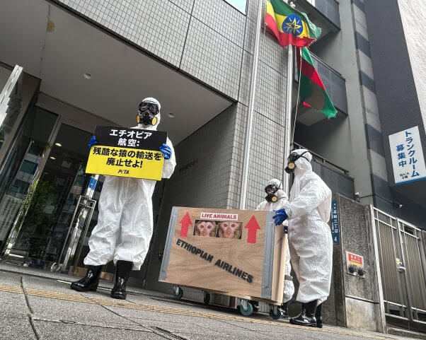 Three demonstrators in hazmat suits wheel a prop crate with "Live Animals"