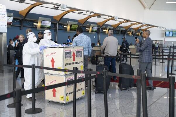 Demonstrators in hazmat suits stand near Ethiopian Airlines check-in counters with a prop crate of 'live animals'