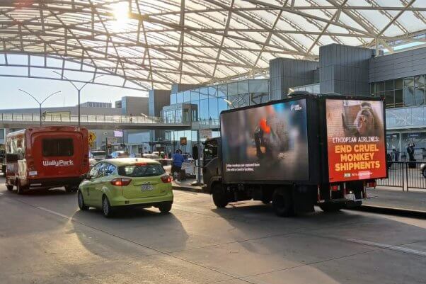 Mobile billboard with photo of monkey in a transport crate and text reading "Ethiopian Airlines: End Cruel Monkey Shipments"