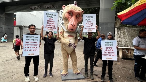 Demonstrators with a monkey mascot