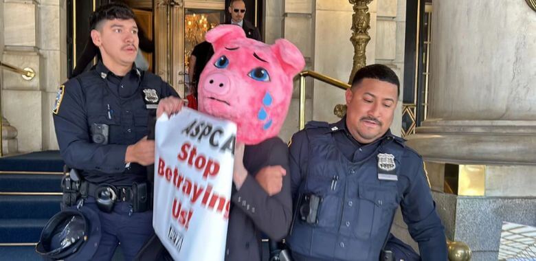 Protester Arrested at ASPCA Event Over Factory Farm Endorsement