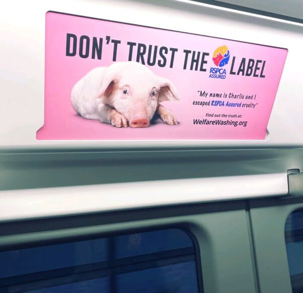 Ad spotted in the UK criticizes the RSPCA over its ties to the Global Animal Partnership