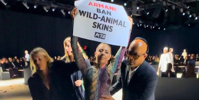 Protester dressed as an alligator holding sign against Armani's wild-animal skins