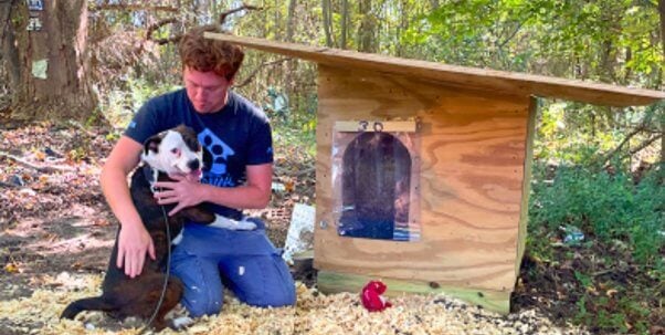 Coco with fieldworker after new doghouse